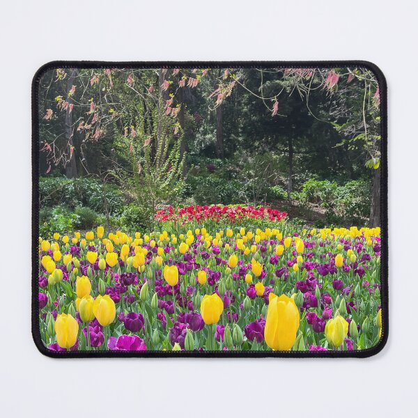 Item preview, Colorful Field of Yellow and Purple Tulips Under Blooming Tree Branches designed and sold by Be Captured by Brittany Emma.