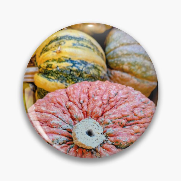 Item preview, Pumpkins and Gourds designed and sold by CaliGirlTreasur.