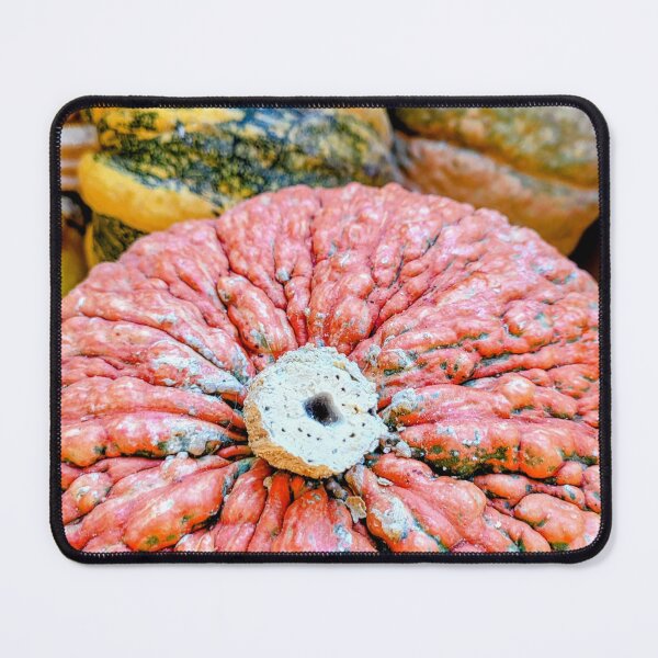 Item preview, Pumpkins and Gourds designed and sold by CaliGirlTreasur.