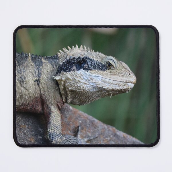 Item preview, Eastern water dragon designed and sold by FallenTrickster.