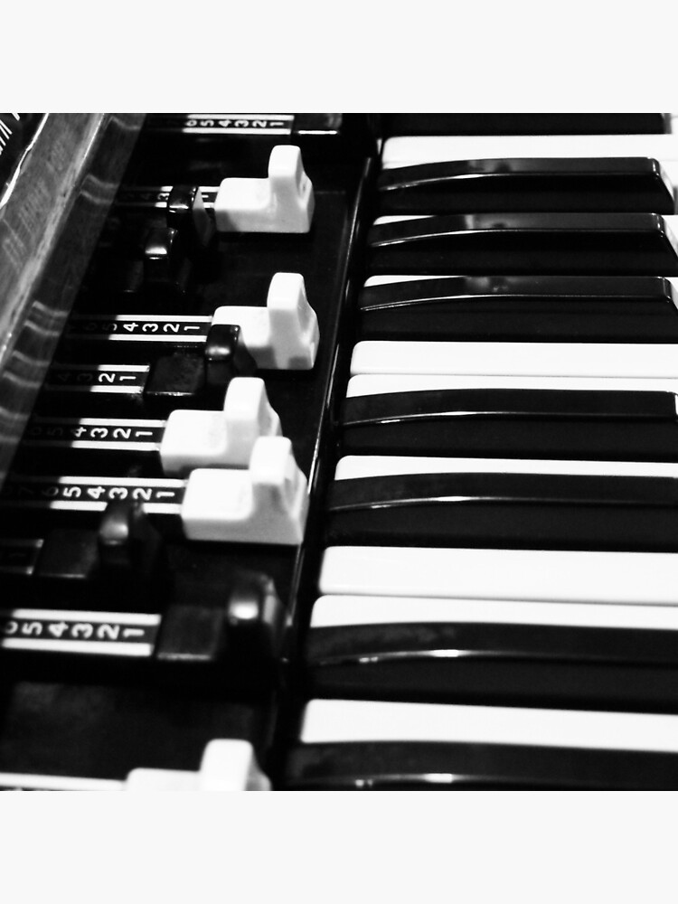 Hammond B3 Organ by douglasewelch