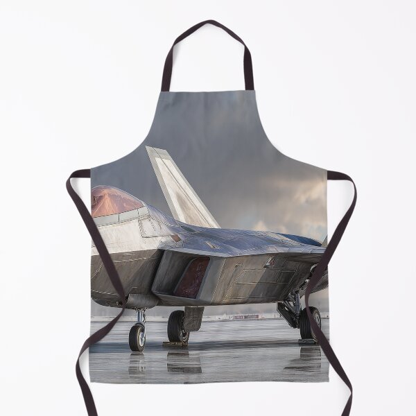 Item preview, Stealth in the Skies designed and sold by Skyframe Aviation.
