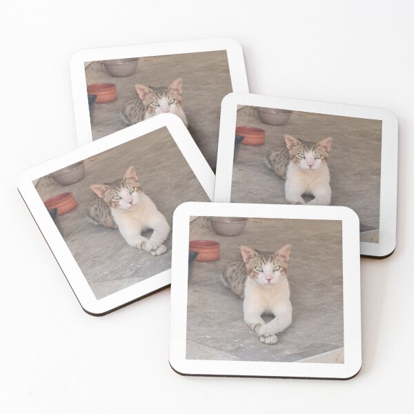 Item preview, Calm Soul – Street Cat with Green Eyes designed and sold by Stefiivn.