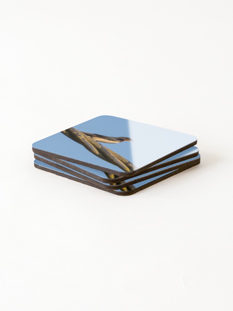 Thumbnail 4 of 5, Coasters (Set of 4), Barn Swallow Perched designed and sold by RalphGoldsmith.
