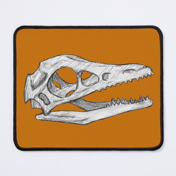 Item preview, Archaeopteryx skull designed and sold by DoodleSnake58.