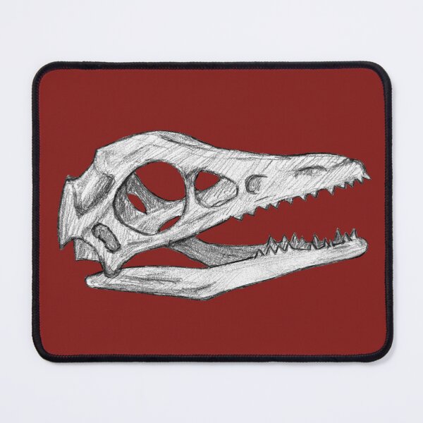 Item preview, Archaeopteryx skull designed and sold by DoodleSnake58.