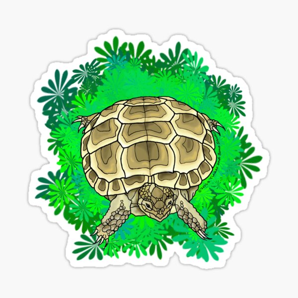 Item preview, Russian Tortoise designed and sold by TinkerandBone.