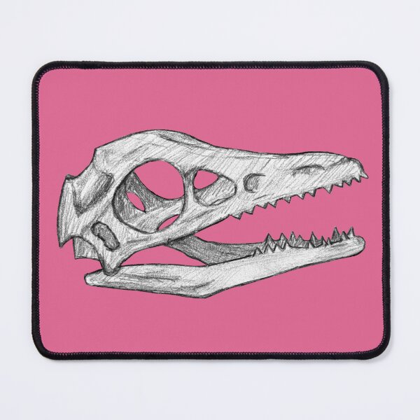 Item preview, Archaeopteryx skull designed and sold by DoodleSnake58.