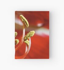 Stamen Hardcover Journal