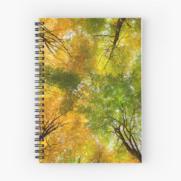 Item preview, Autumnal Display designed and sold by David Bowman.