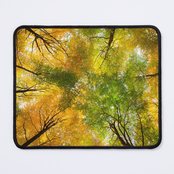 Item preview, Autumnal Display designed and sold by David Bowman.