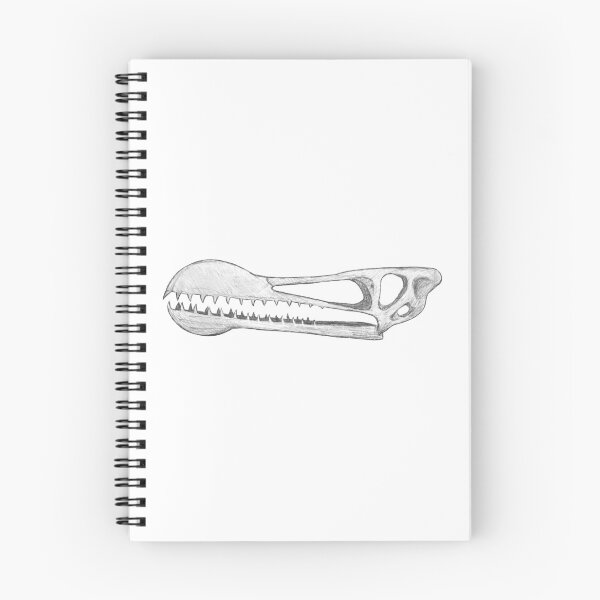 Item preview, Ornithocheirus skull designed and sold by DoodleSnake58.