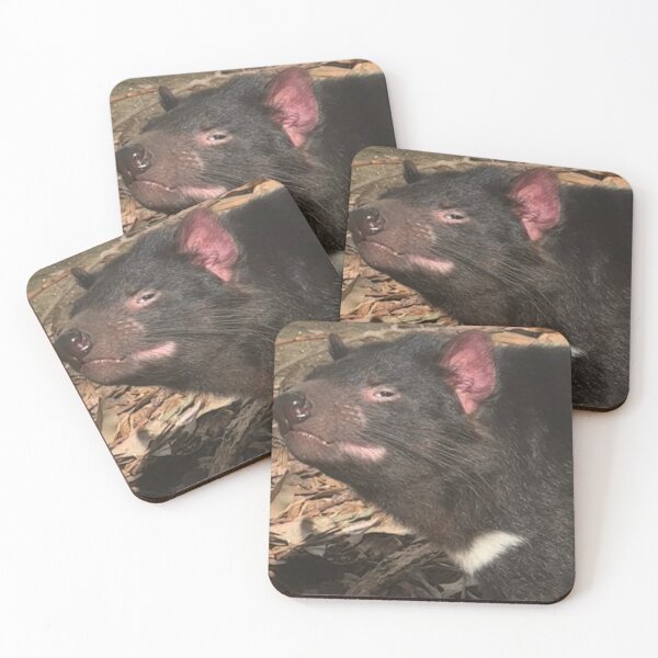 Item preview, TASSIE DEVIL designed and sold by trevorp.