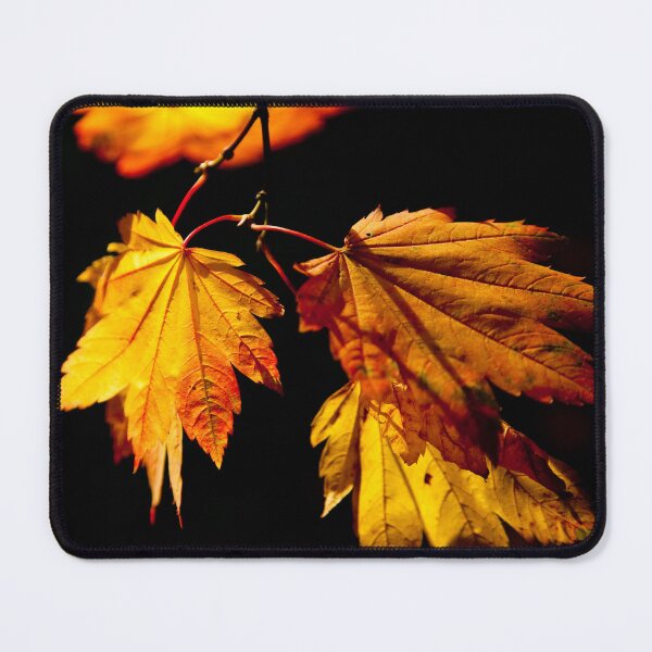 Item preview, Leaves of Gold designed and sold by Dalyndigital Photography.