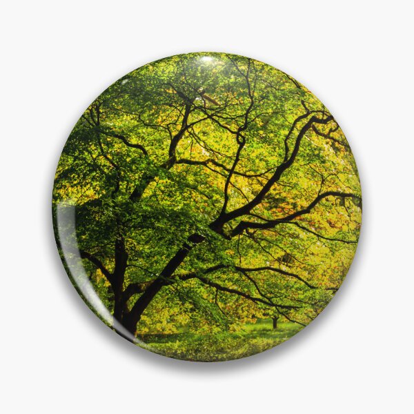 Item preview, Acer Glade designed and sold by Dalyndigital Photography.