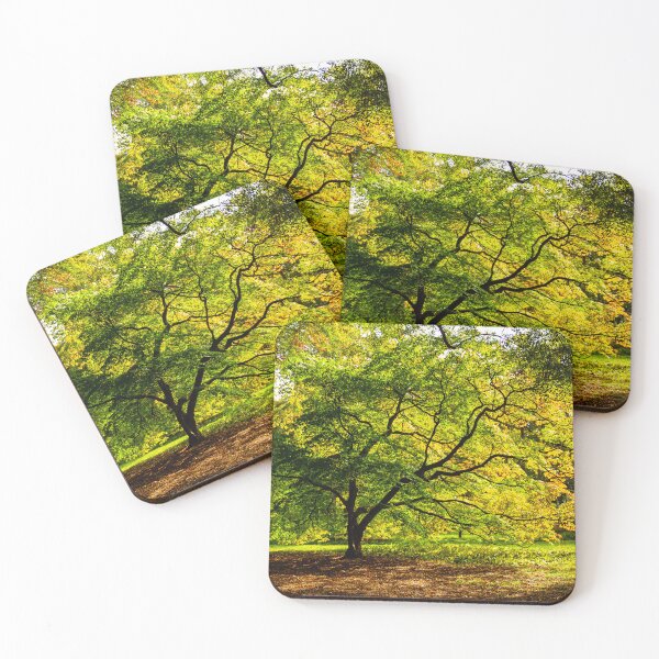 Item preview, Acer Glade designed and sold by Dalyndigital Photography.