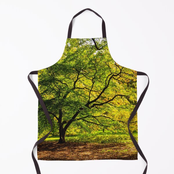 Item preview, Acer Glade designed and sold by Dalyndigital Photography.