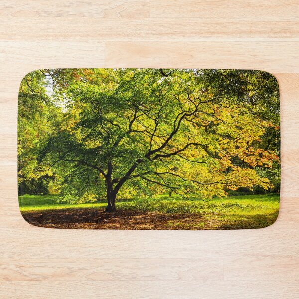 Item preview, Acer Glade designed and sold by Dalyndigital Photography.
