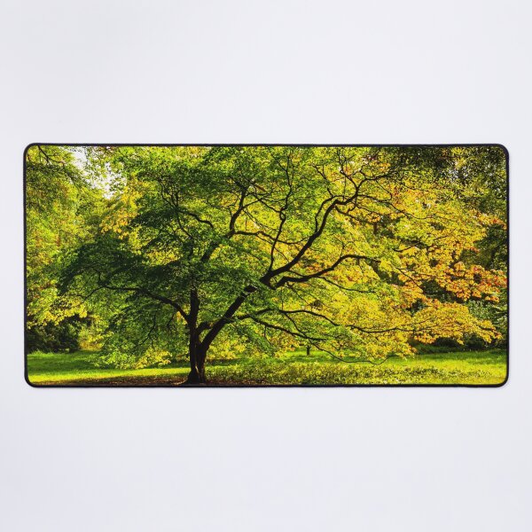 Item preview, Acer Glade designed and sold by Dalyndigital Photography.