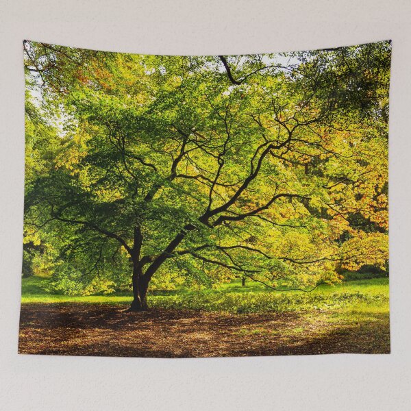 Item preview, Acer Glade designed and sold by Dalyndigital Photography.