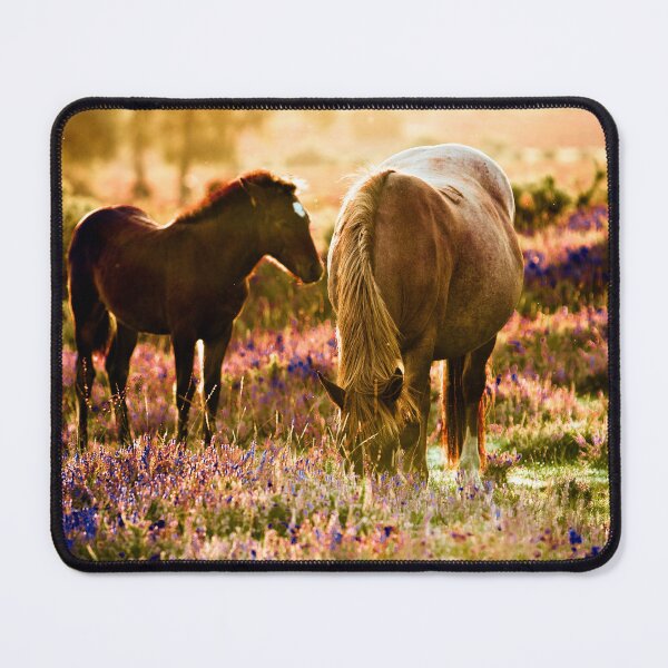Item preview, Horse and foal in the New Forest designed and sold by Dalyndigital Photography.