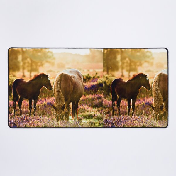 Item preview, Horse and foal in the New Forest designed and sold by Dalyndigital Photography.