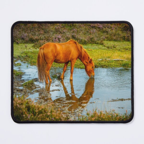Item preview, Time for a drink designed and sold by Dalyndigital Photography.