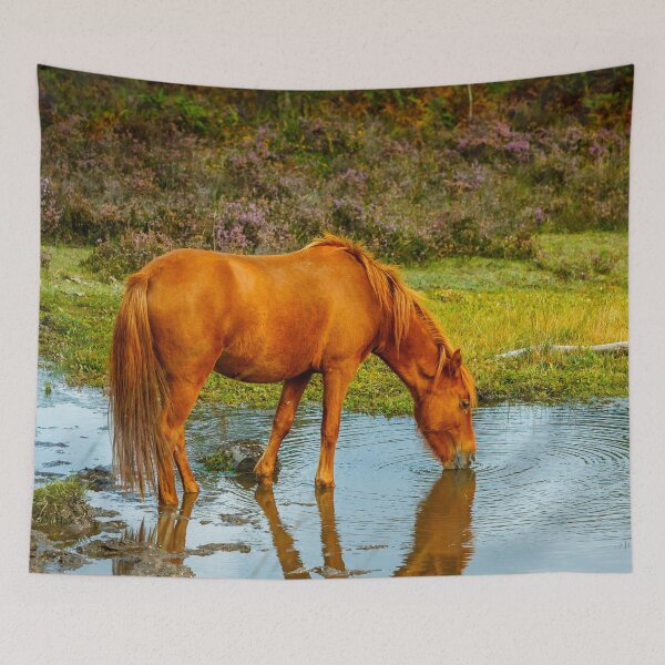 Item preview, Time for a drink designed and sold by Dalyndigital Photography.