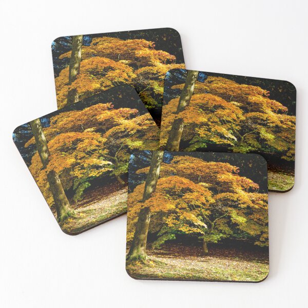 Item preview, Golden Acer designed and sold by Dalyndigital Photography.