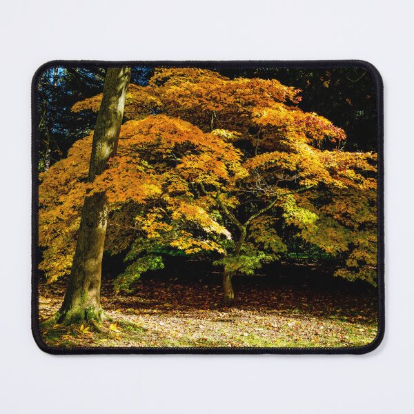 Item preview, Golden Acer designed and sold by Dalyndigital Photography.