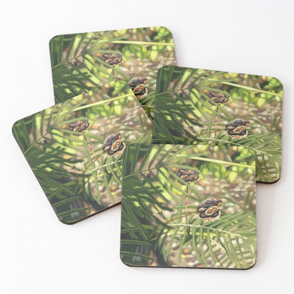 Item preview, Nature seedlings designed and sold by Frogiie.