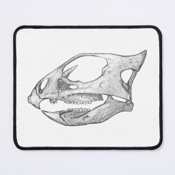 Item preview, Aquilops skull designed and sold by DoodleSnake58.