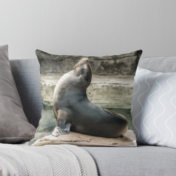 Item preview, I lost my ball....Where could it be? designed and sold by AlixCollins.