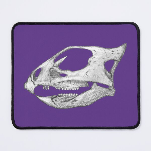 Item preview, Aquilops skull designed and sold by DoodleSnake58.
