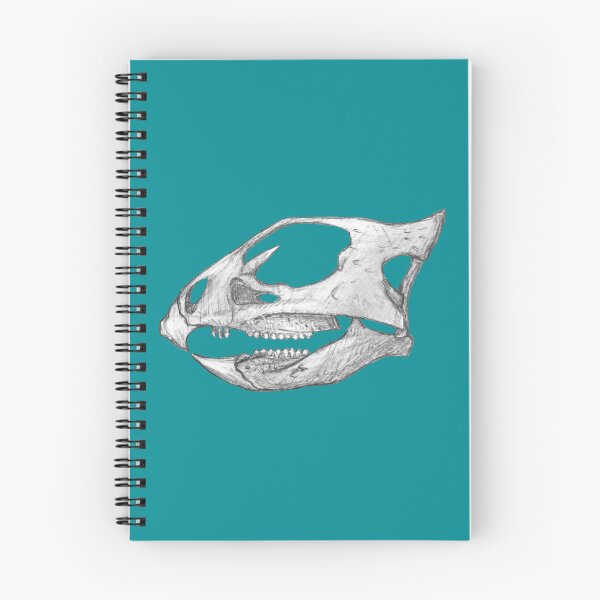 Item preview, Aquilops skull designed and sold by DoodleSnake58.