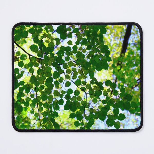 Item preview, Green leaves of autumn trees designed and sold by olena2552.