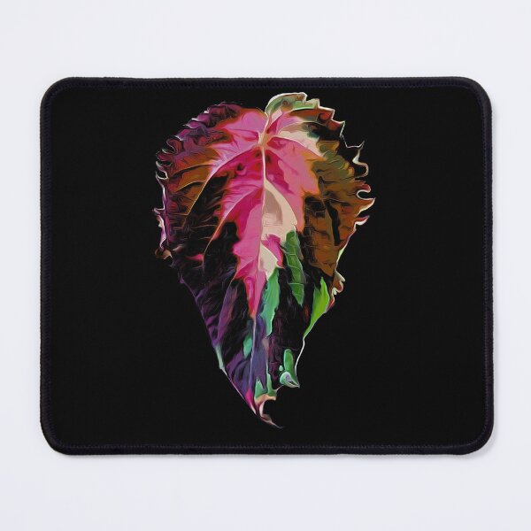 Item preview, Coleus leaf designed and sold by Nicksplants.