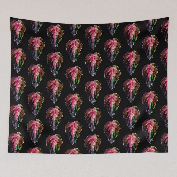 Item preview, Coleus leaf designed and sold by Nicksplants.