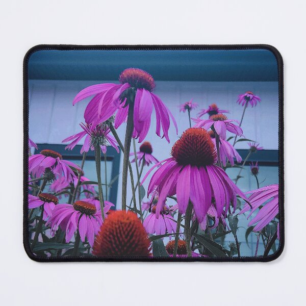 Item preview, Coneflowers designed and sold by LittleLovelies.