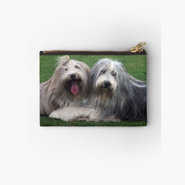 Item preview, Dos collies barbudos designed and sold by Paul Thompson Photography.