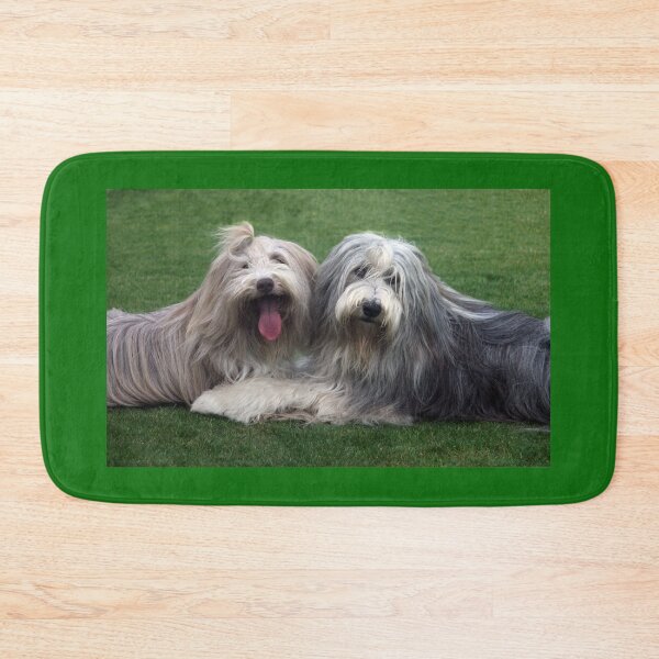 Item preview, Dos collies barbudos designed and sold by Paul Thompson Photography.