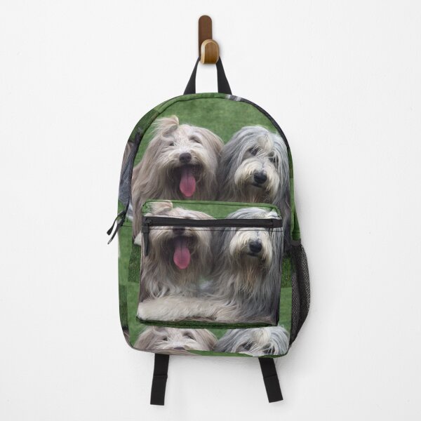 Item preview, Two Bearded Collies designed and sold by Paul Thompson Photography.