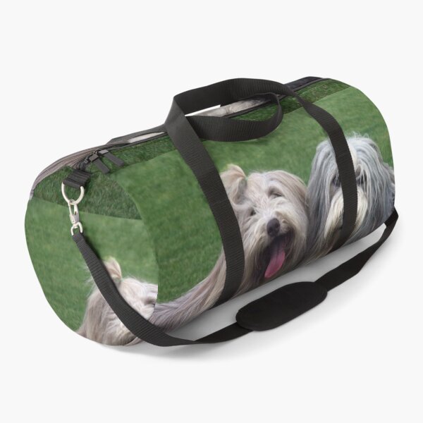 Item preview, Two Bearded Collies designed and sold by Paul Thompson Photography.