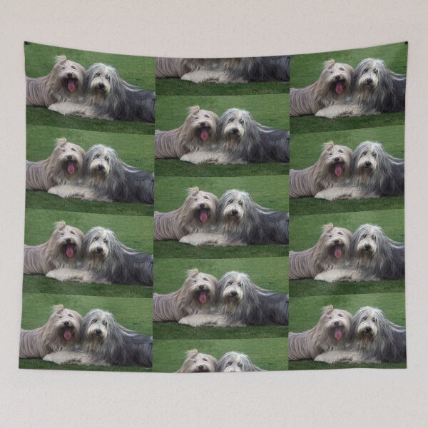 Item preview, Two Bearded Collies designed and sold by Paul Thompson Photography.