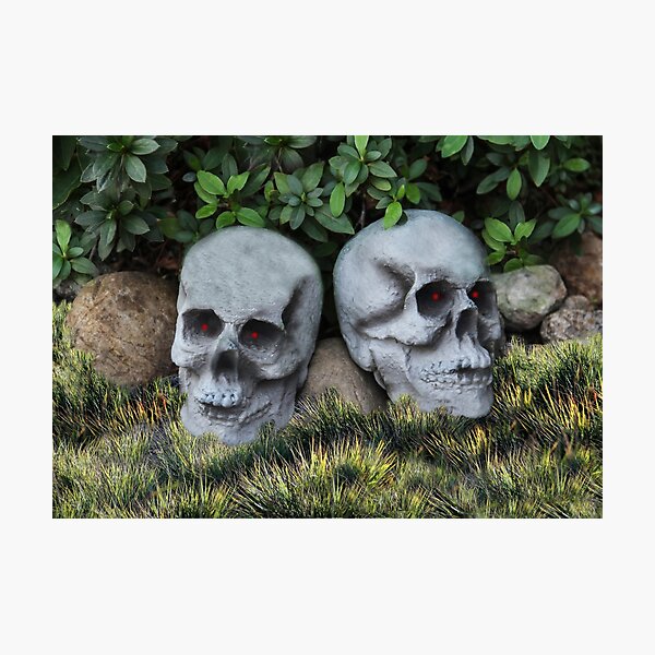 Item preview, Two Heads Are Better Than One! designed and sold by heatherfriedman.