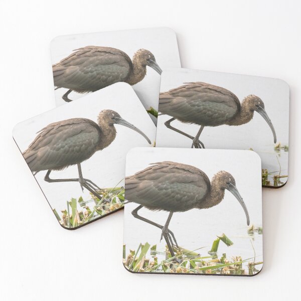 Item preview, Glossy Ibis designed and sold by LaurenTucker.