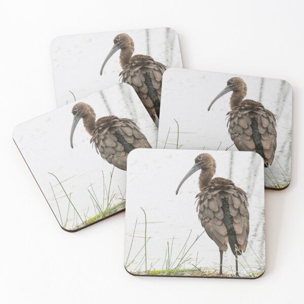 Item preview, Glossy Ibis designed and sold by LaurenTucker.