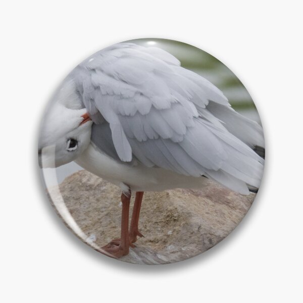 Item preview, Black Headed Gull designed and sold by LaurenTucker.