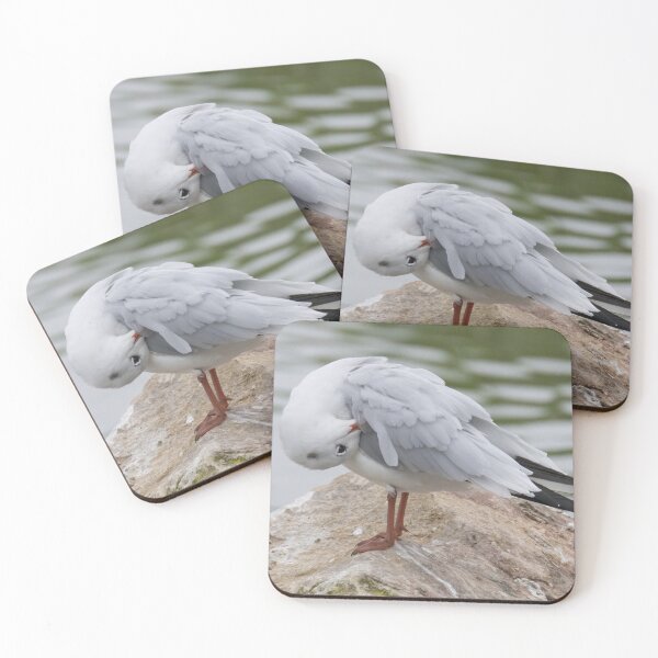Item preview, Black Headed Gull designed and sold by LaurenTucker.