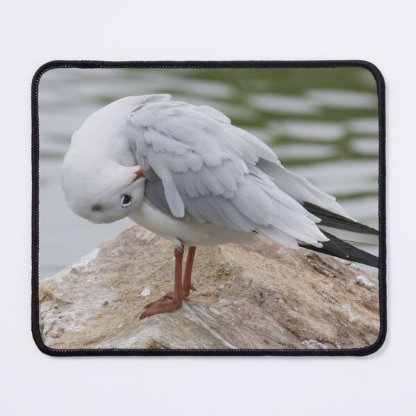 Item preview, Black Headed Gull designed and sold by LaurenTucker.